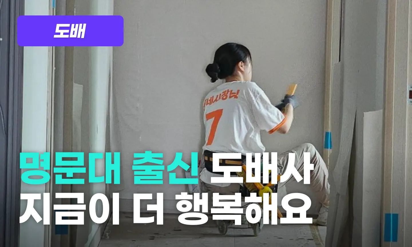 도배 프로그램 이미지